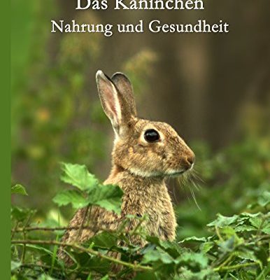 Das Kaninchen von Andreas Rühle